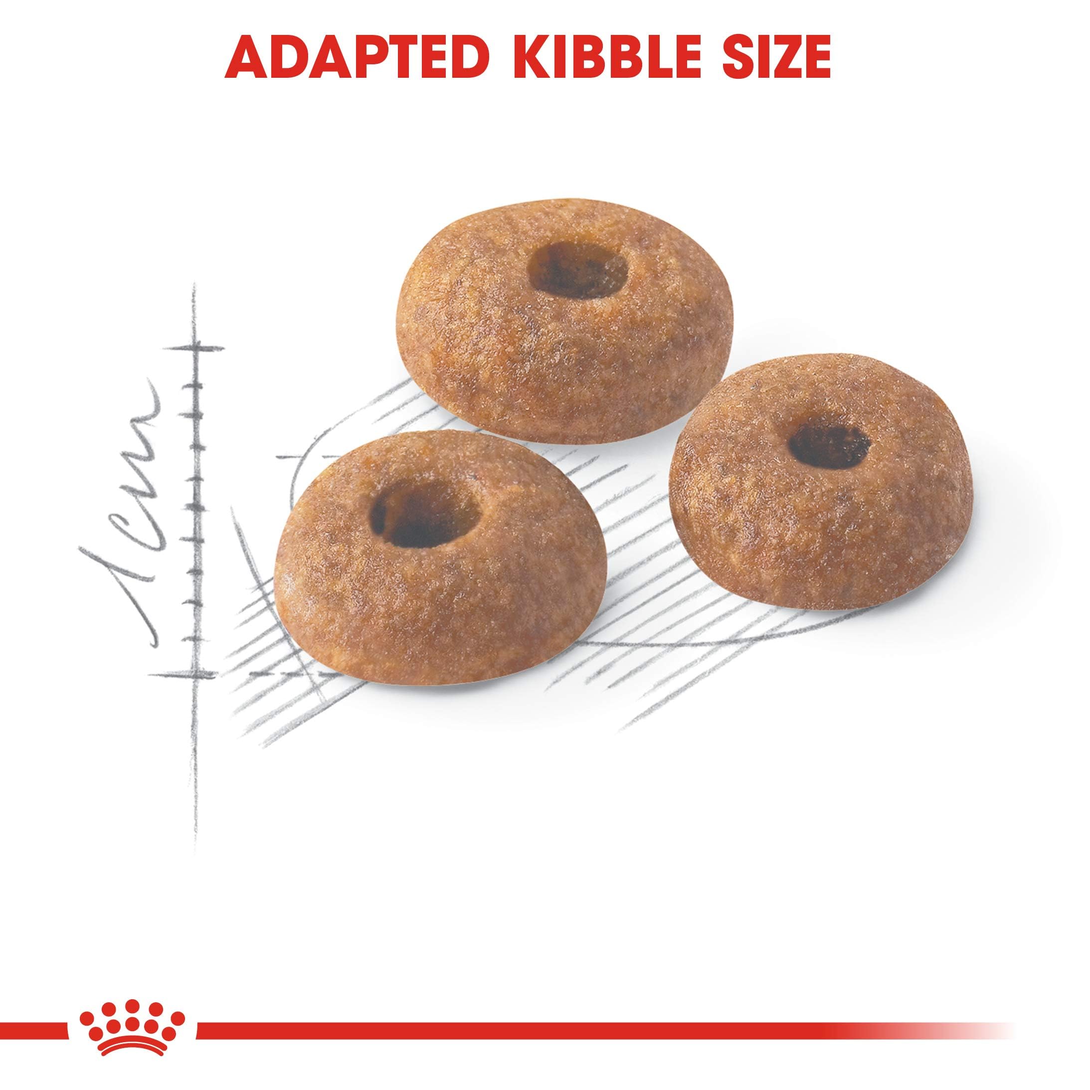 Amazon | ロイヤルカナン FHN フィット 猫用 10kg | ロイヤル Amazon | ロイヤルカナン FHN フィット 猫用 10kg | ロイヤル